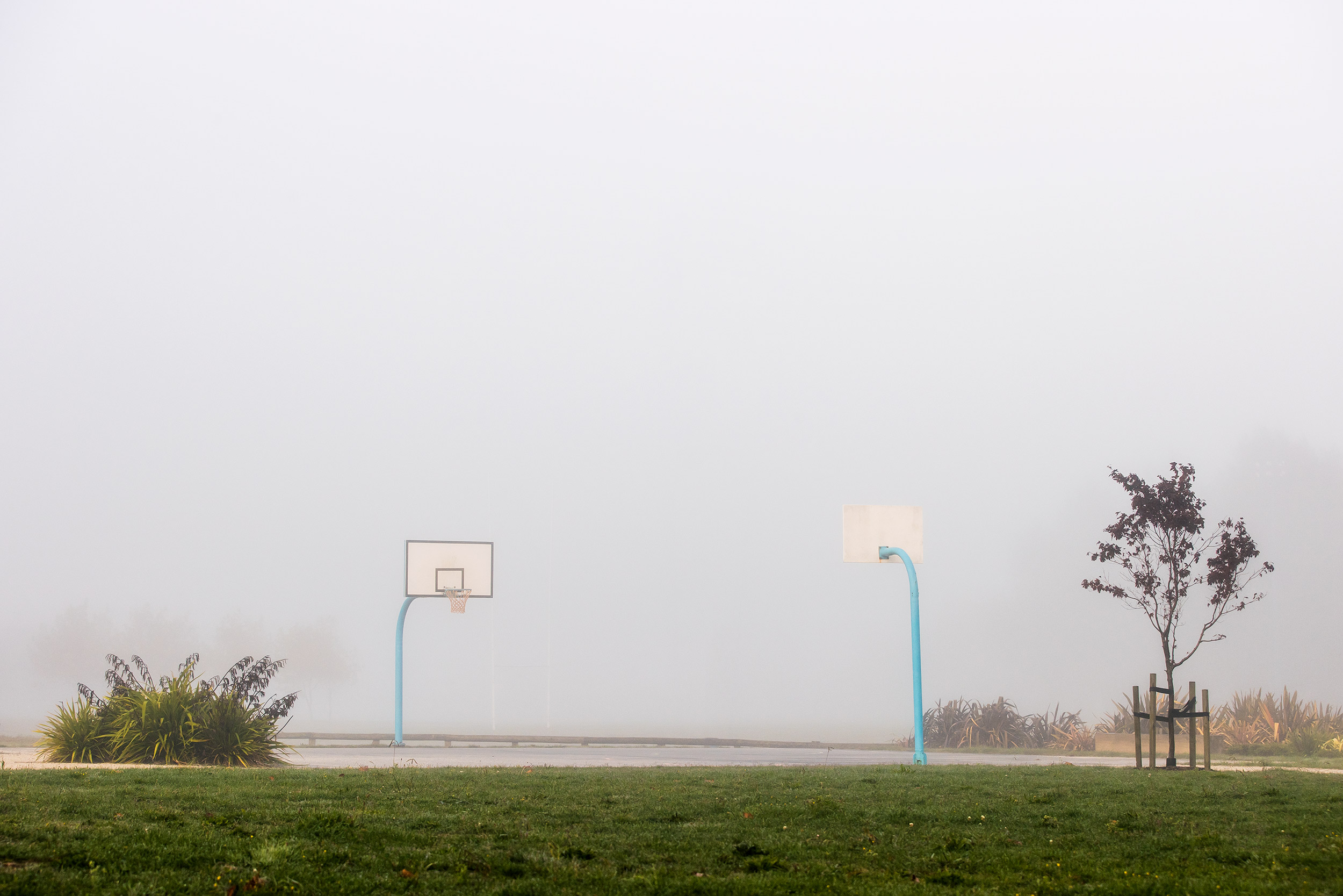 BB-court-2