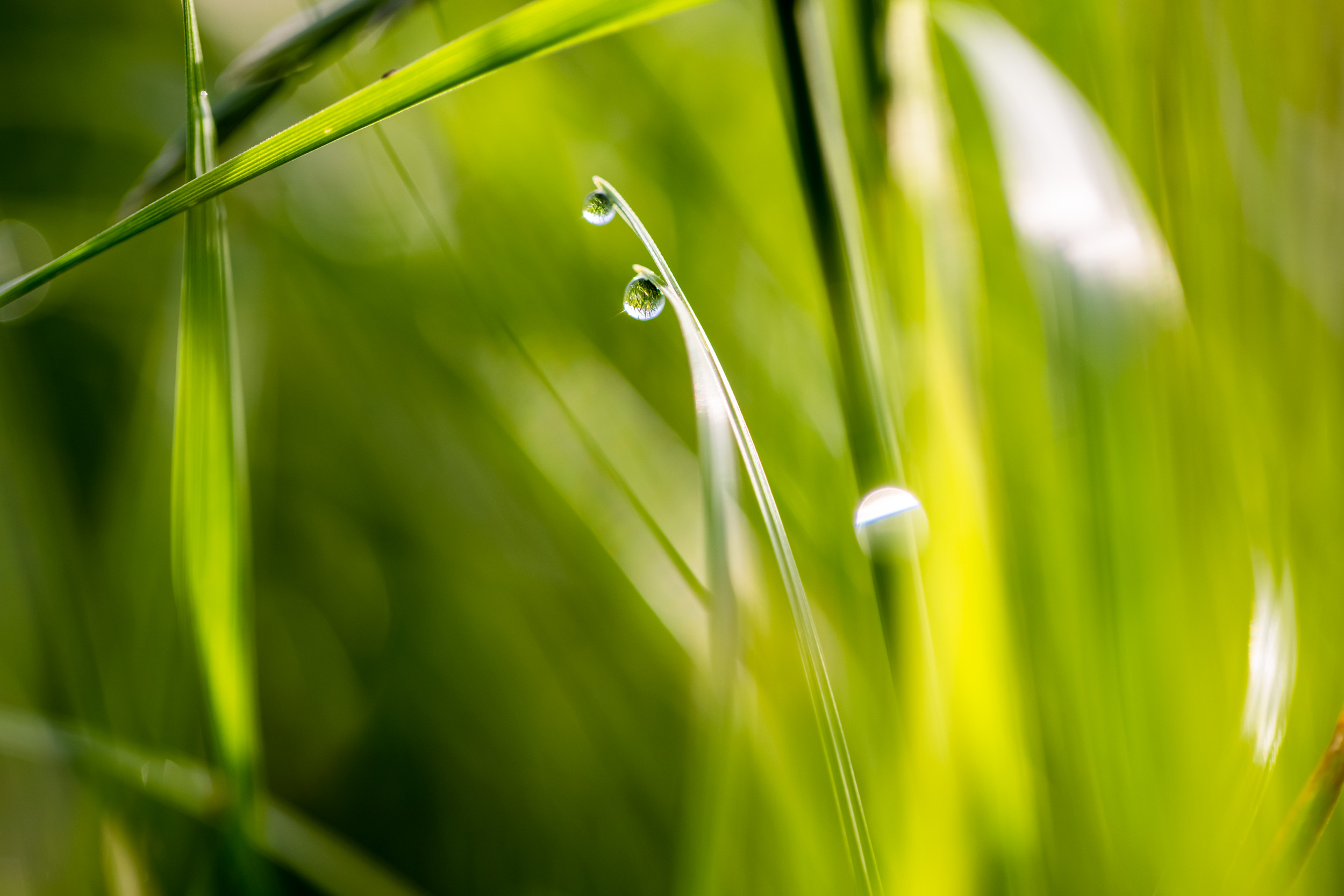 Fonterra_021220-36
