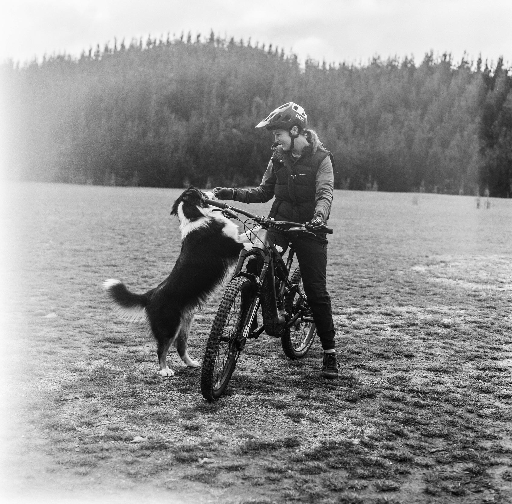 GM_Film_19