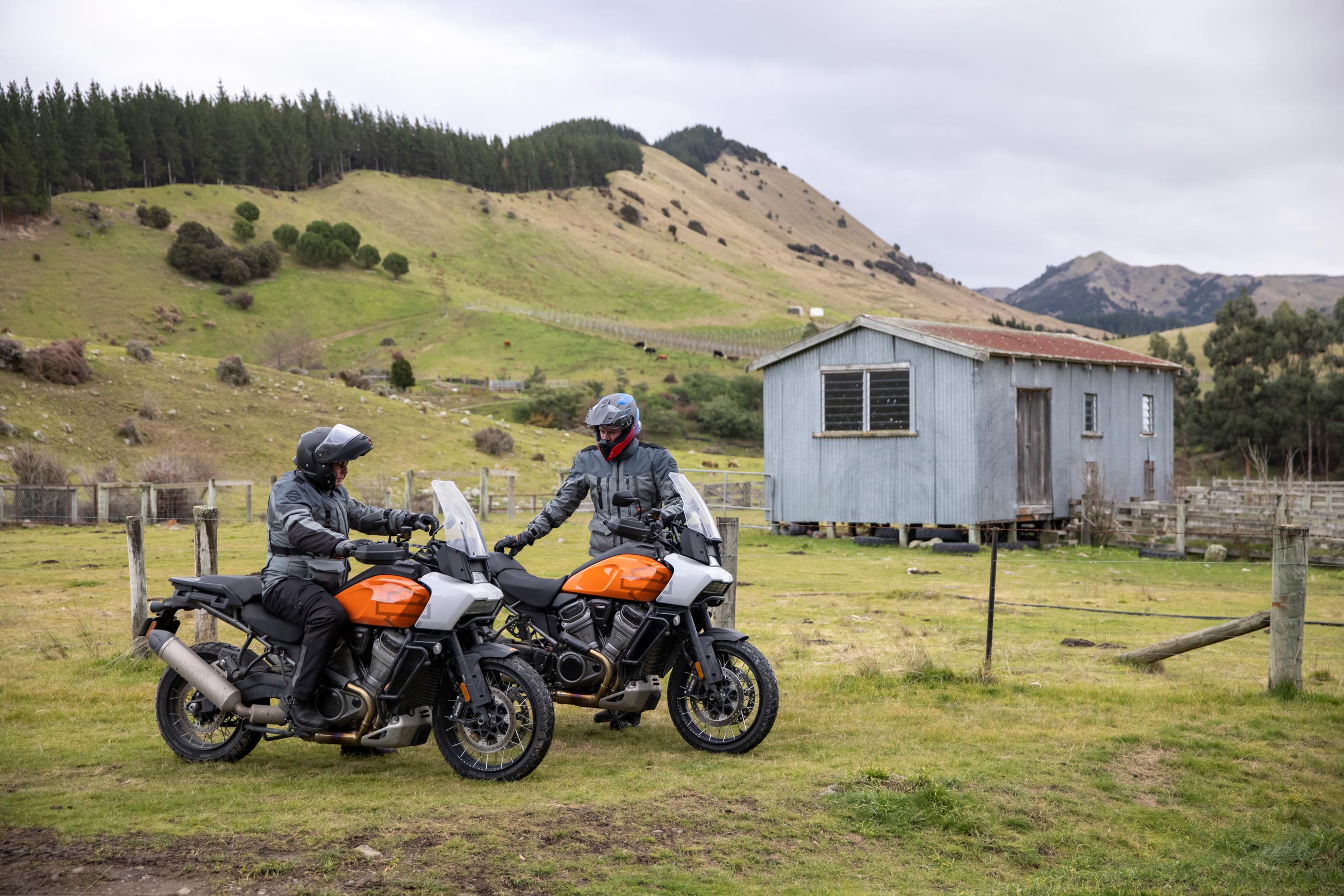 HD_July21-NZ-GM-335