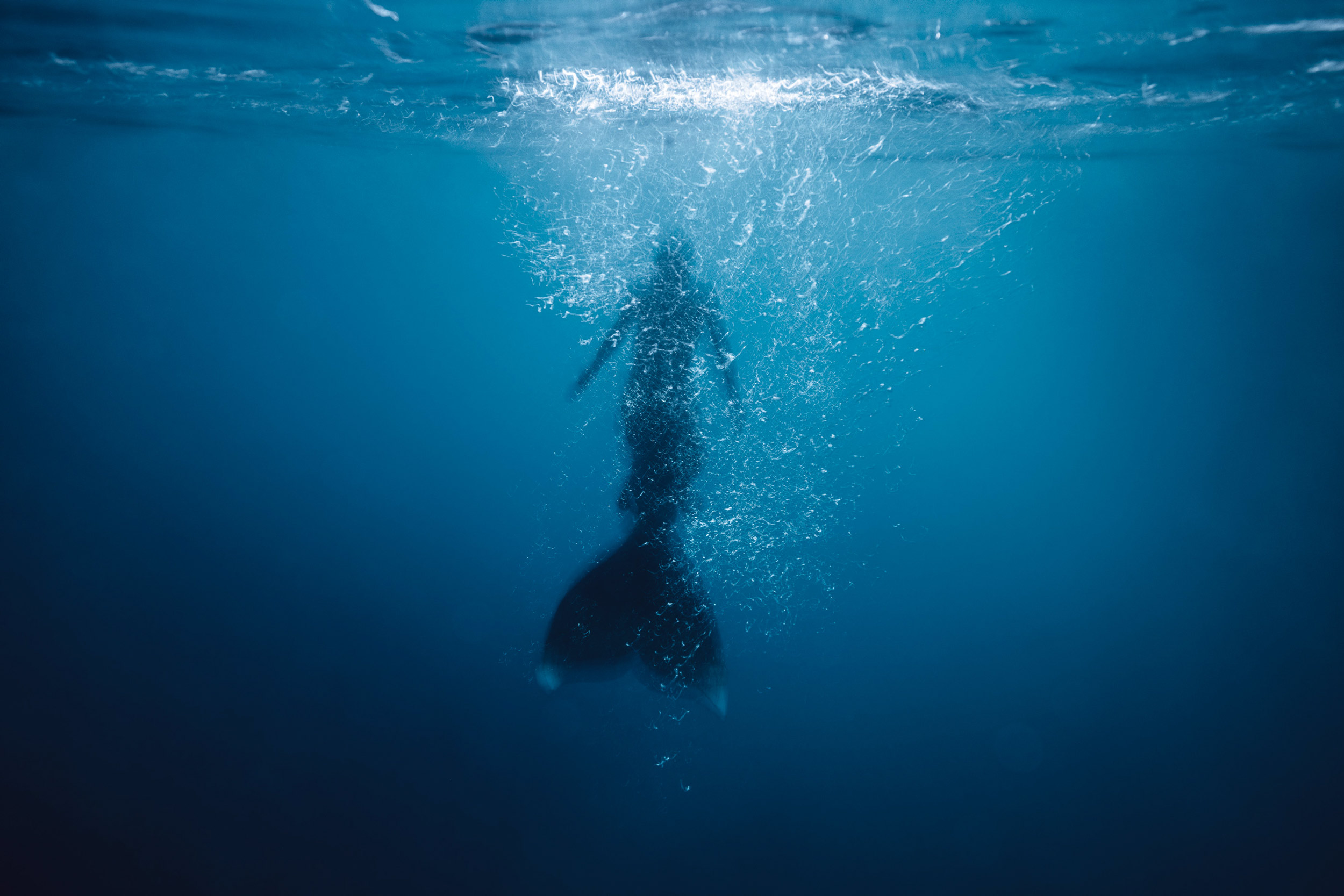 Mermaids_NZ_02